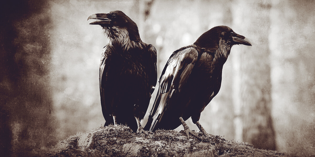 Odin Article 1 Image 3